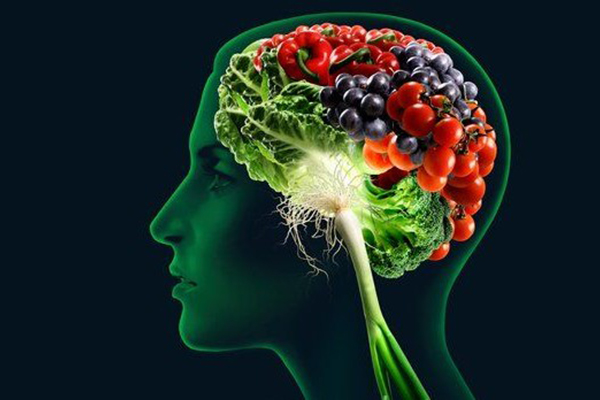 Nutrición para nuestro Cerebro