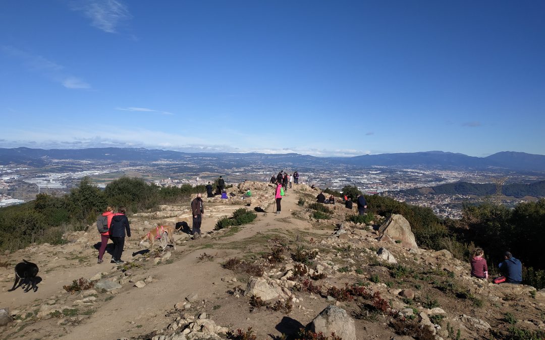 Poblado Ibérico de Les Maleses